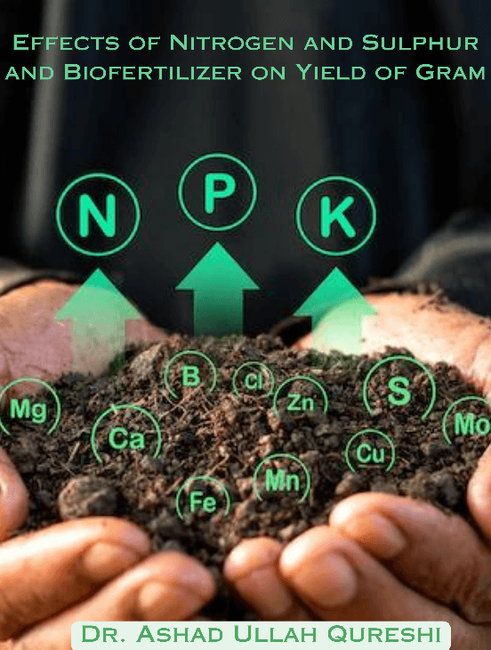Effects of Nitrogen and Sulphur and Biofertilizer on Yield of Gram