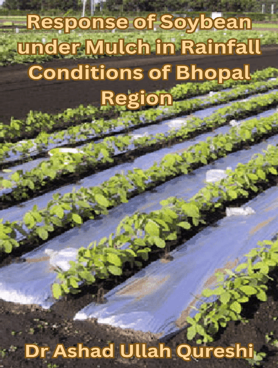 Response of Soybean under Mulch in Rainfall Conditions of Bhopal Region